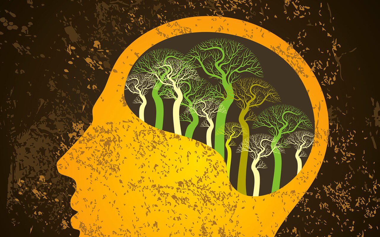 É possível regenerar os neurônios: veja cinco hábitos que podem ajudar