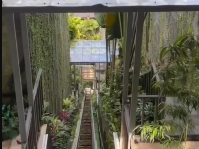 IMAGENS FORTES: elevador de famoso resort de luxo despenca e mata cinco pessoas; VEJA VÍDEO