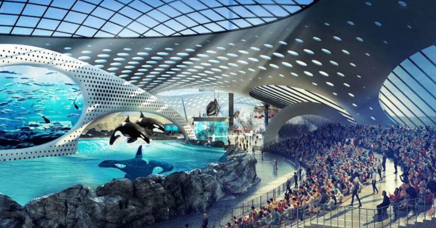 Com 100 mil animais, o maior museu coberto de ciência marinha será inaugurado em breve; VEJA IMAGENS