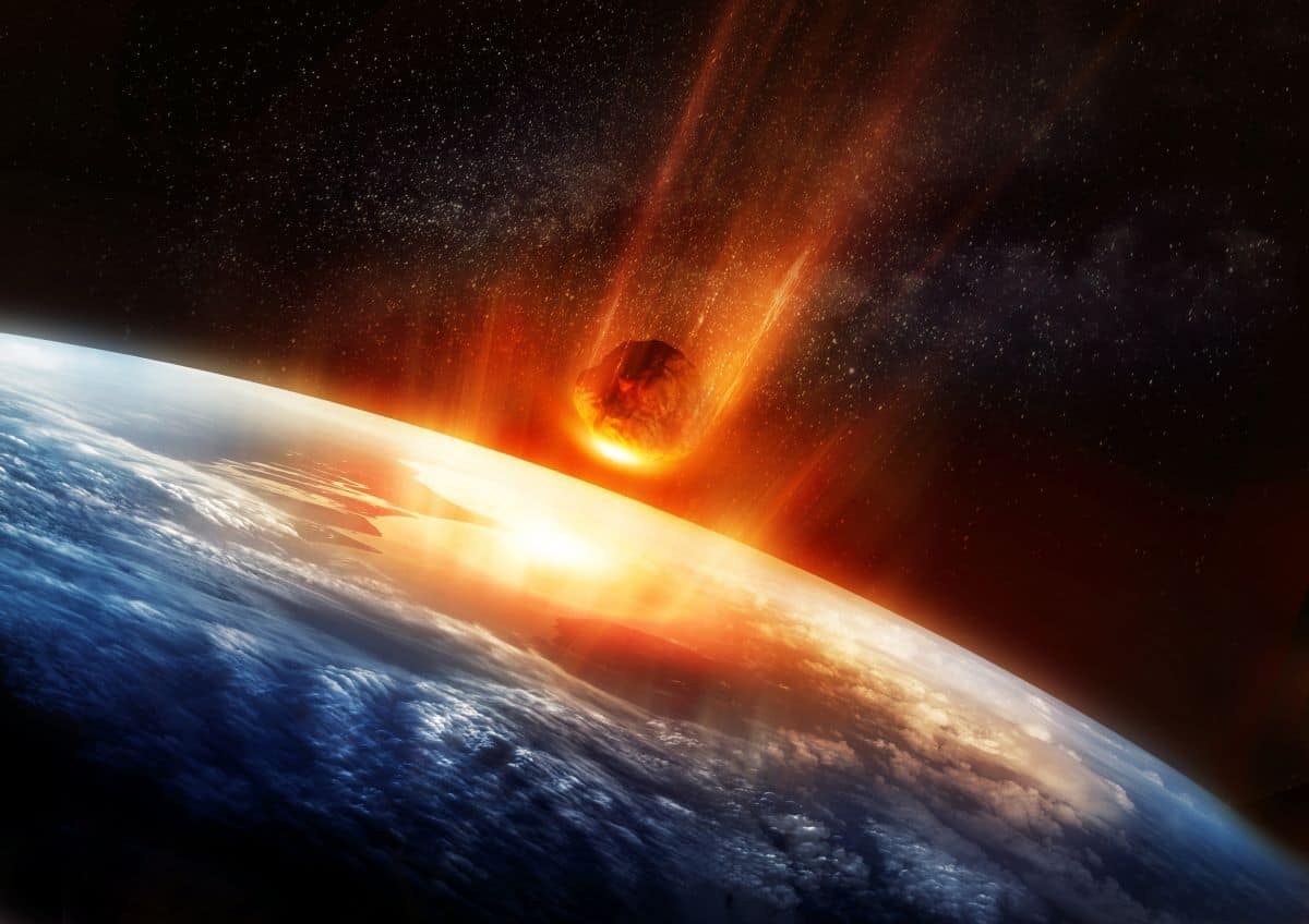 Que seres vivos sobreviveram ao asteroide que matou os dinossauros?