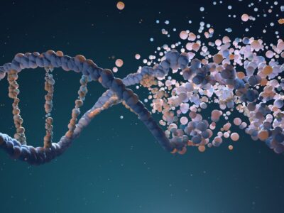 Organização do DNA nas células influencia em mutações cancerígenas