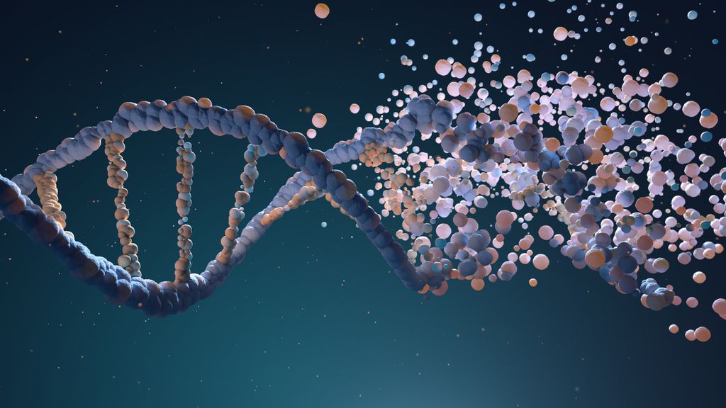 Organização do DNA nas células influencia em mutações cancerígenas