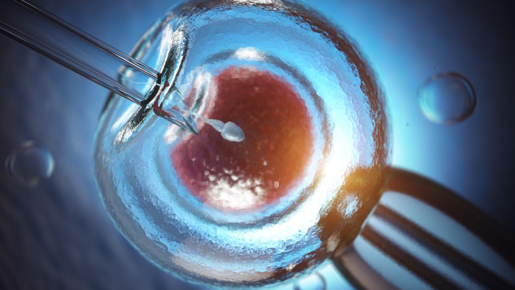 Embrião humano é criado sem espermatozoide ou óvulo