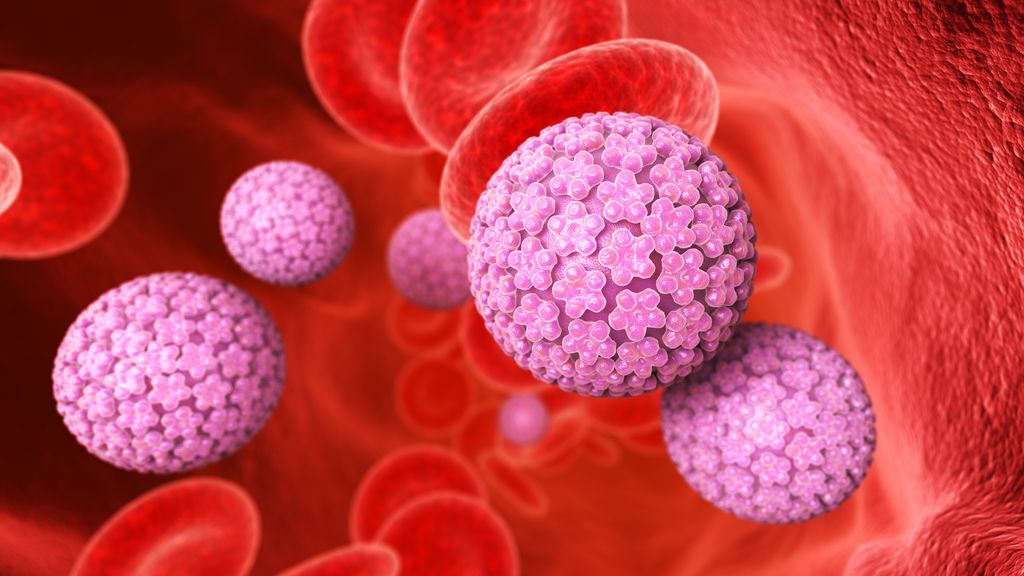 HPV é a infecção mais associada ao câncer, mas tem vacina