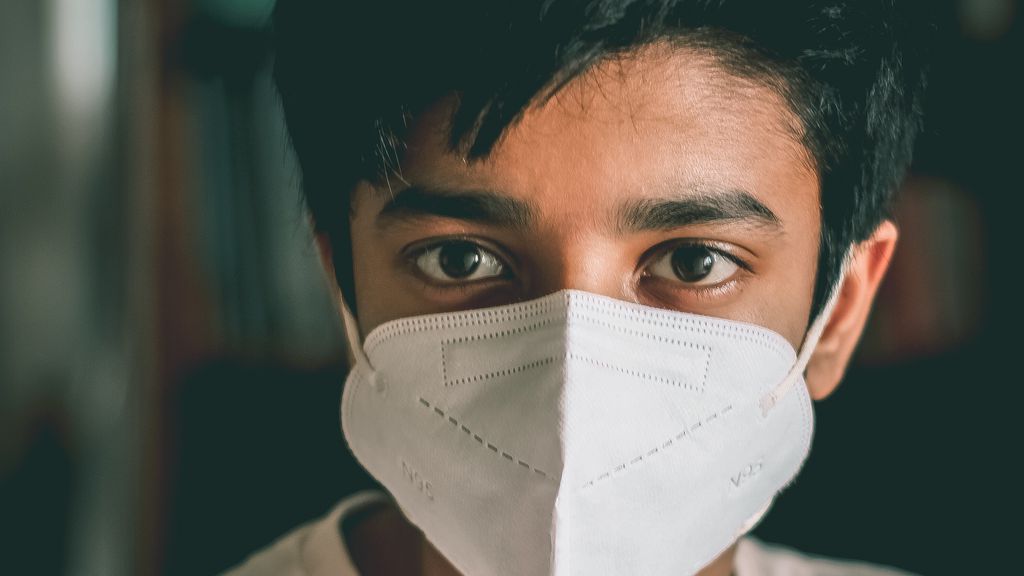 Vírus Nipah: Índia fecha escolas para conter surto mortal