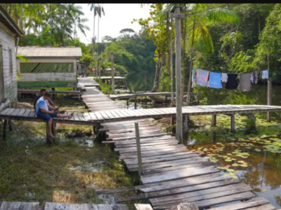 BOMBA: “ativistas” do meio ambiente estão fazendo fraude na Amazônia e vendendo crédito de carbono de áreas públicas; entenda