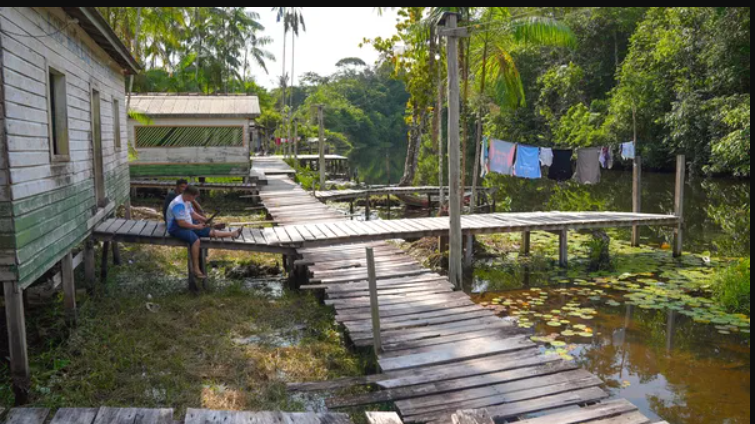 BOMBA: “ativistas” do meio ambiente estão fazendo fraude na Amazônia e vendendo crédito de carbono de áreas públicas; entenda