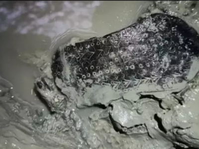Sandália de couro ‘da época de Cristo’ é encontrada preservada em ruína na Espanha
