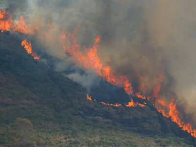 Maioria dos incêndios na Amazônia é causada por ação humana