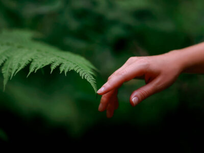 A natureza vai acabar? Esse professor pensa que sim; entenda