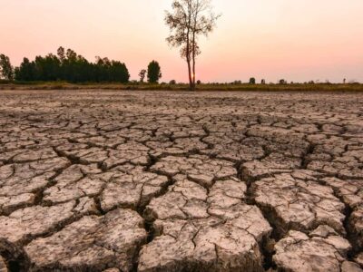 El Niño continuará no 1° semestre de 2024; Brasil tem alerta para secas