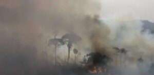 Vídeo Editorial: Brasil do PT tem 169.000 campos de futebol queimados só em setembro. Esquerdopatas vagabundos e mídia se calam! Veja vídeo!