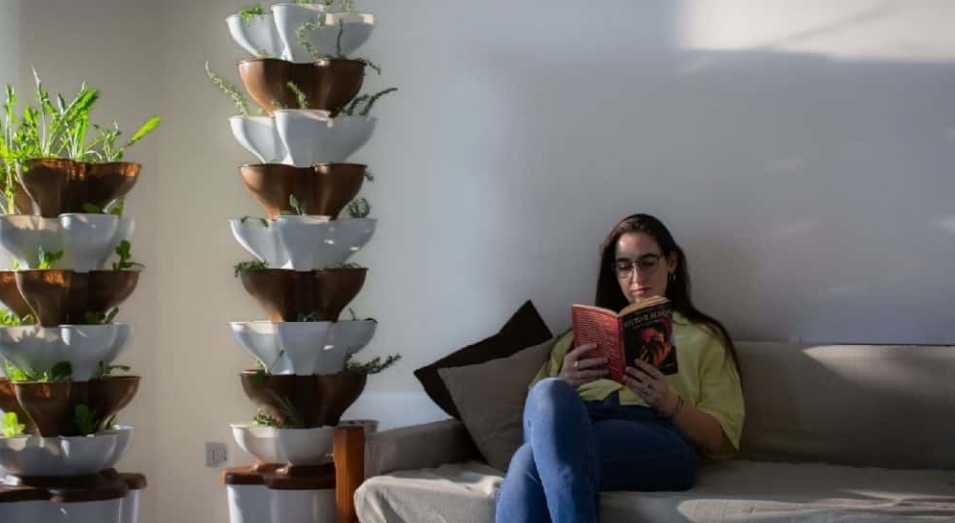 Startup lança jardim vertical controlado por app. Conheça!