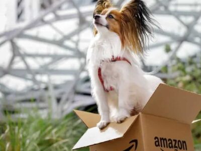 Amazon Pet? Empresa de Jeff Bezos considera ter veterinários por teleconsulta