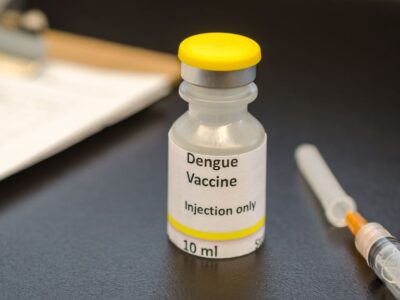 Qdenga: OMS recomenda vacina da dengue para crianças