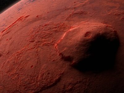 Insetos em Marte: vamos precisar deles na colonização
