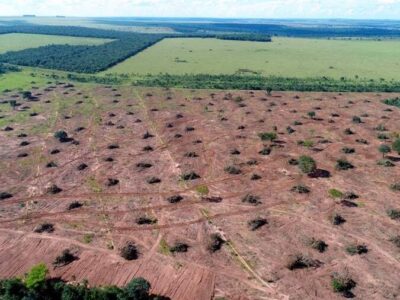 Inpe: Desmatamento do Cerrado cresce 3% em um ano; área atinge 11 mil km²