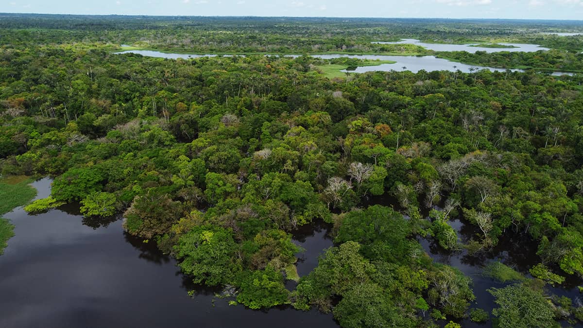 Brasil faz parte de grupo que abriga 70% das biodiversidade do planeta