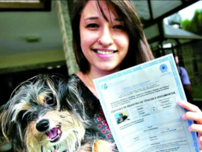 Cartórios brasileiros estão fazendo Certidão de Nascimento para cachorros; ENTENDA