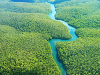 Amazônia Azul: 20% do PIB nacional está em nossos mares, segundo estudo