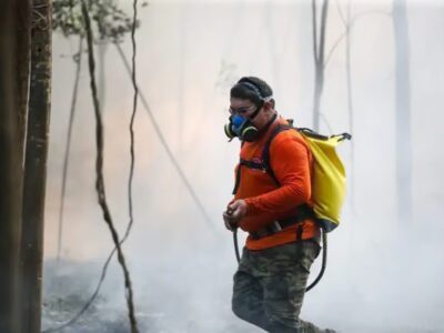 Amazonas registra aumento de 262% em focos de calor