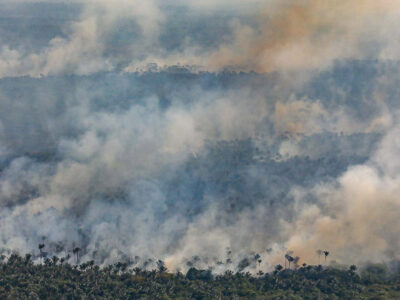 O ‘silêncio ensurdecedor’ da esquerda sobre fumaça na Amazônia continua, apesar de alerta do DJ Alok