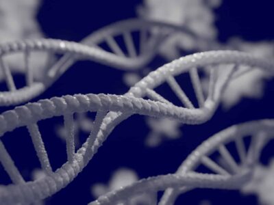 Quais doenças um teste genético pode diagnosticar?