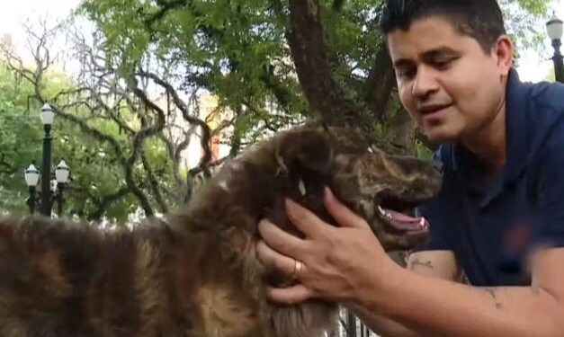 Conheça a história do homem que morou nas ruas e ficou milionário após conhecer cachorro