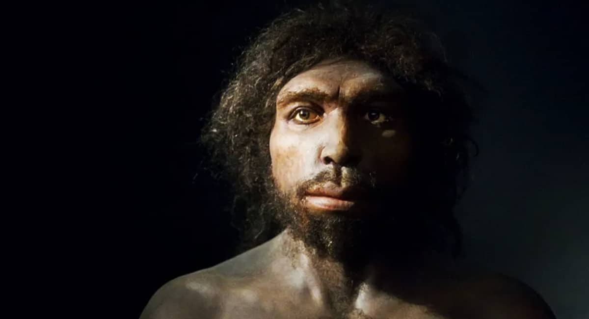 Humanidade quase foi extinta há 900 mil anos