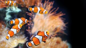 Mais de R$ 7 bilhões ainda estão esquecidos nos bancos