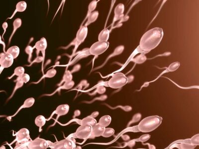 Estudo: infertilidade masculina aumentou nos últimos anos; veja o que você pode fazer para evitá-la