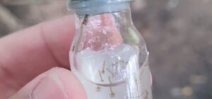 Marília não oferta vacina contra a dengue e prefeitura alerta para maior proliferação do mosquito Aedes.