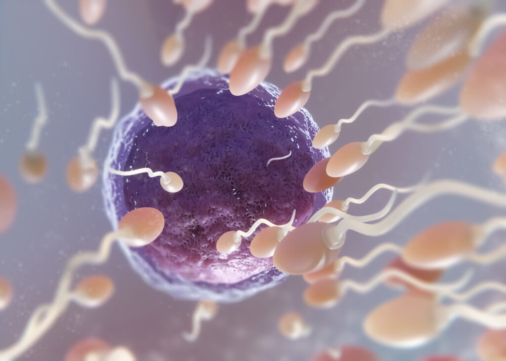 Gel anticoncepcional masculino tem 99% de eficácia em testes