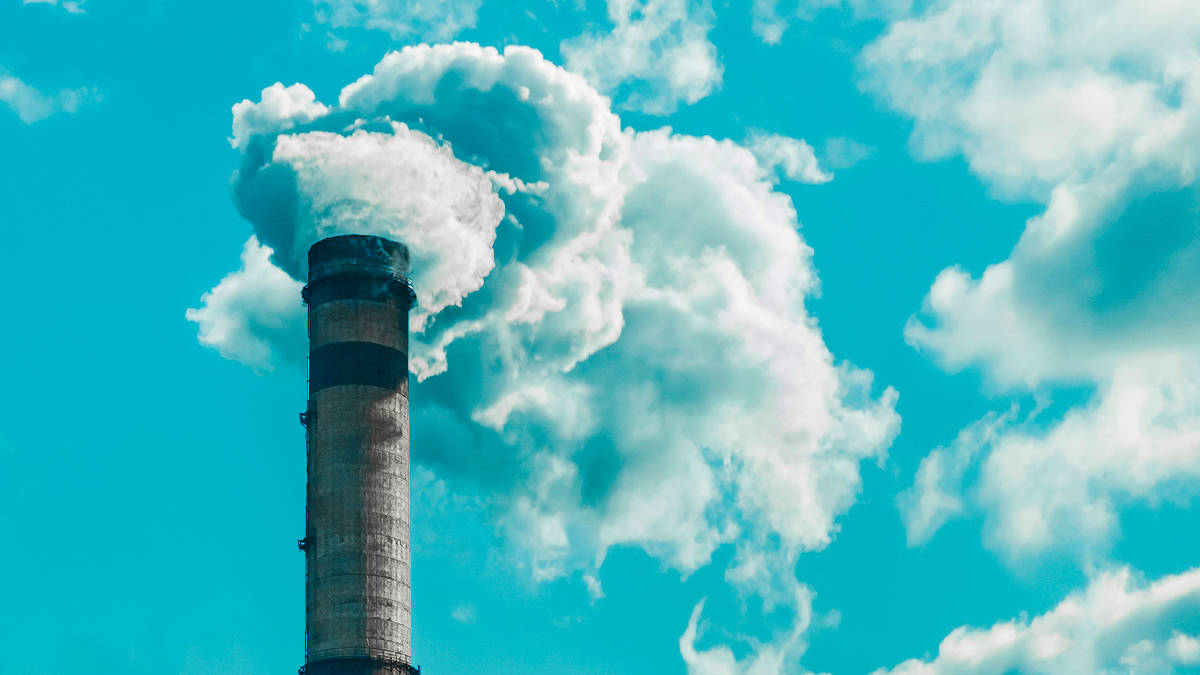 Cientistas criam jeito melhor que o da natureza para ‘filtrar’ gás carbônico