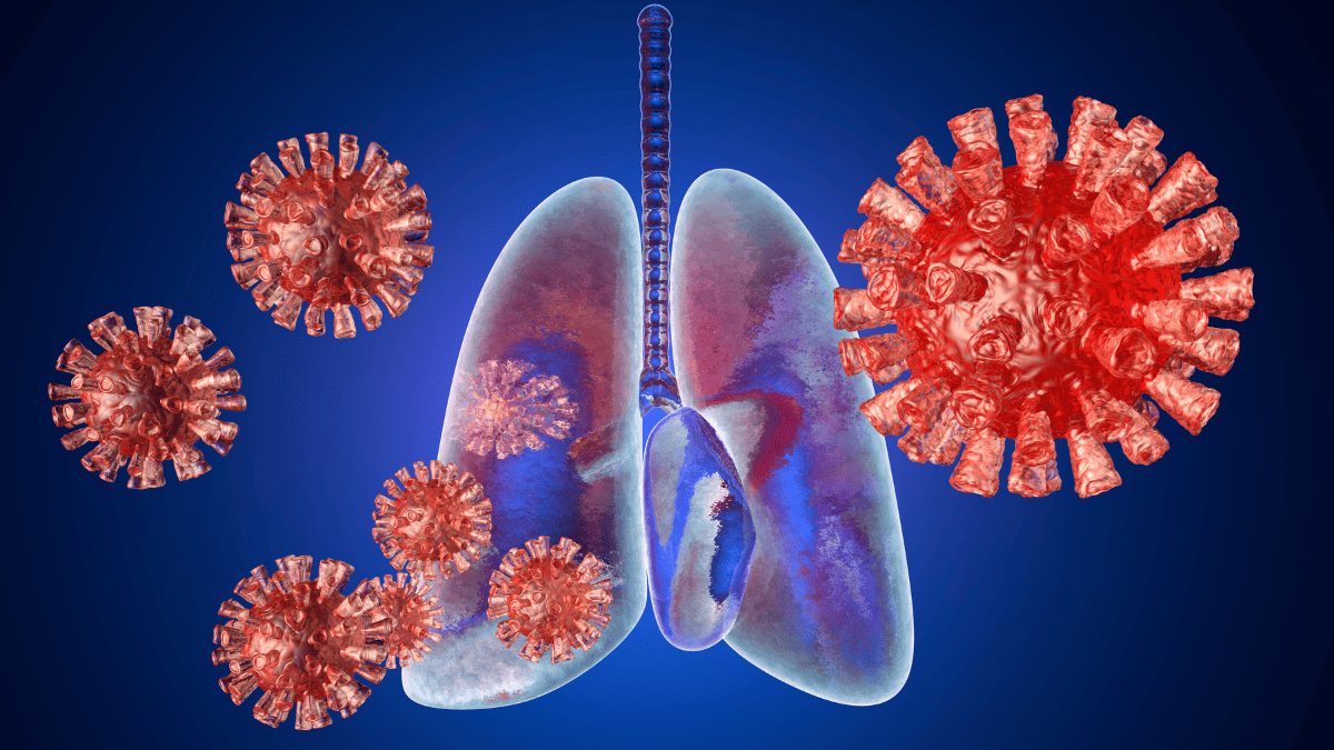 Novo anti-inflamatório feito de planta pode ser usado no tratamento contra COVID-19