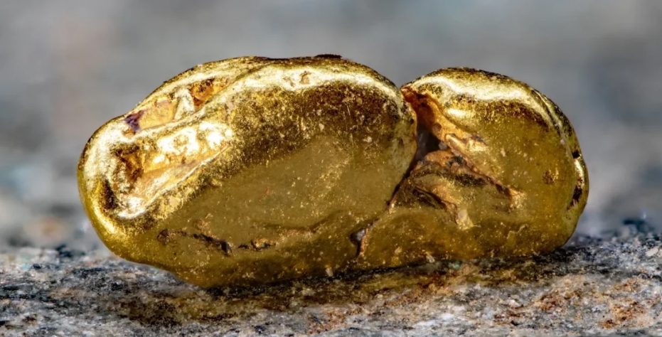 Descoberta bactéria que converte composto natural em ouro de 24 quilates