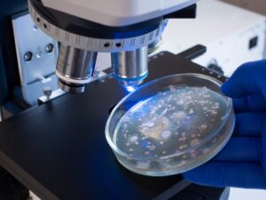 Harvard: novo antibiótico pode vencer as superbactérias