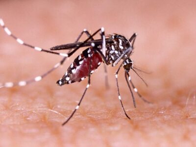 Como tecnologia está ajudando cidades do interior a combater a dengue