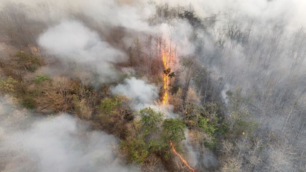 Calor, chuva e ventos fortes: o que esperar do El Niño em 2024?