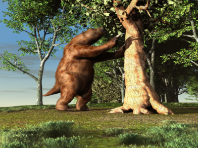 Fósseis de preguiça-gigante da Era do Gelo são encontrados em Minas Gerais