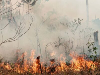 Em Chamas: Amazônia registra alta de 286% nos focos de queimadas em fevereiro