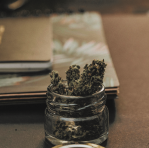 Alemanha descriminaliza posse e uso de maconha