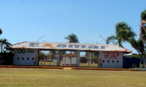 Leilão de Gado Beneficente em prol da Santa Casa de Marília acontece neste sábado na Examar