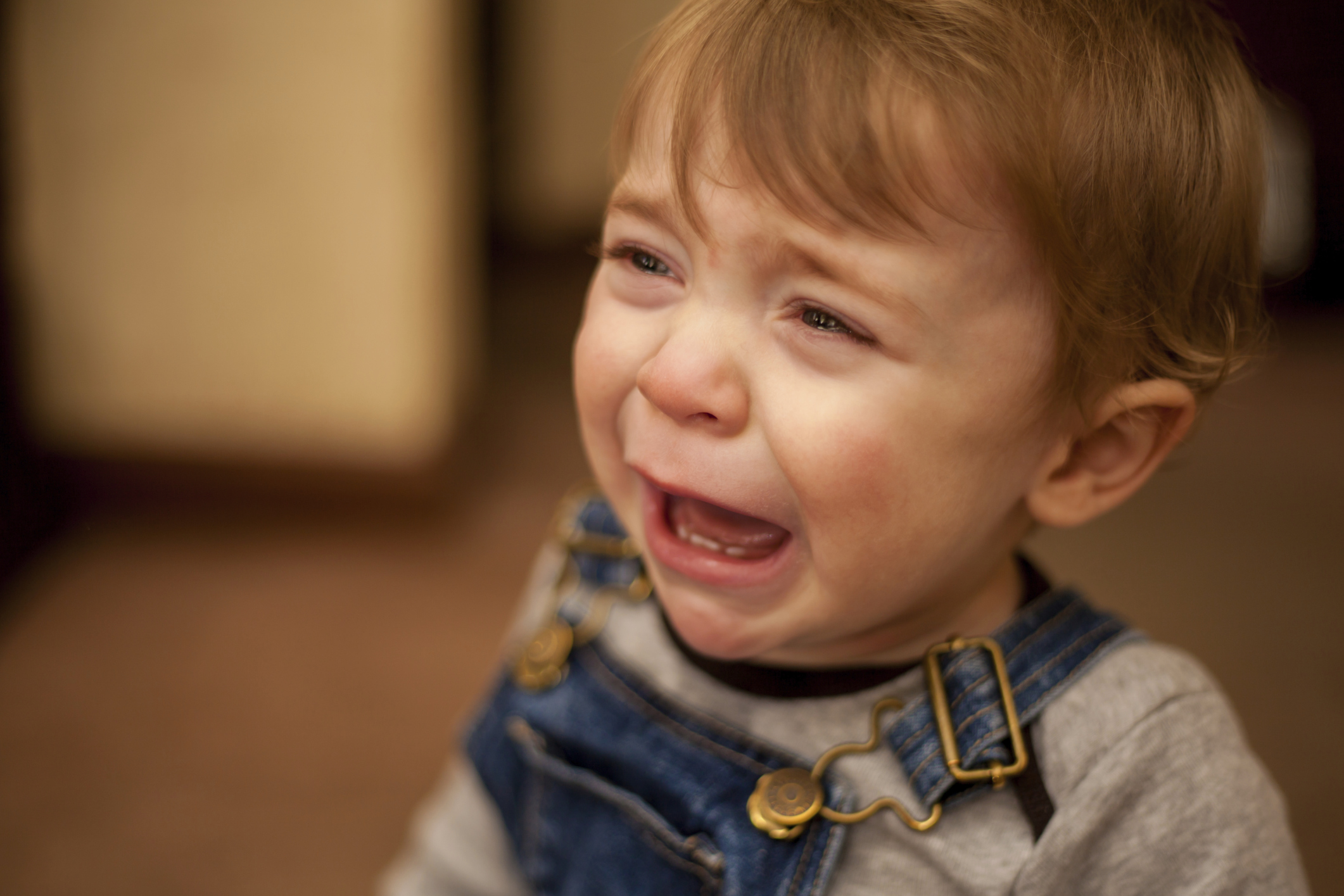 Crises do bebê: 3, 6, 8 e 12 meses