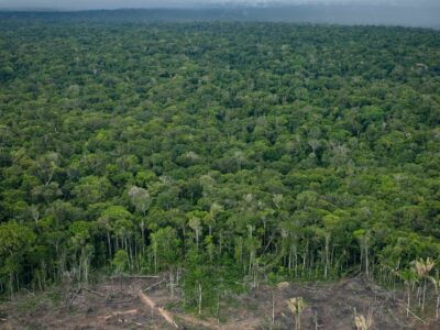 Dados inéditos do Inpe: mais de 60% das áreas da Amazônia em regeneração sofrem novo desmatamento