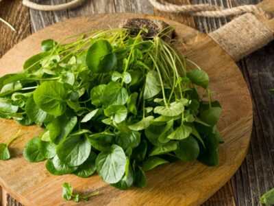 Conheça o vegetal considerado o alimento mais saudável do mundo