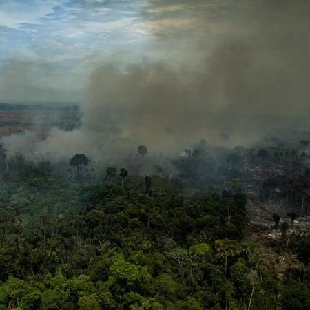 Oposição questiona artistas sobre queimadas na Amazônia: ‘cadê?’