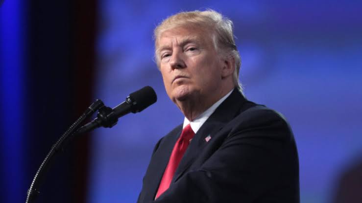Donald Trump processa emissora abc e jornalista por difamação