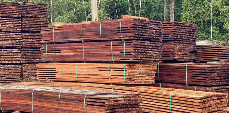 Projeto de exploração de madeira na Amazônia apoiado por Alcolumbre e Randolfe tem empresa multada e aprovação duvidosa do Incra