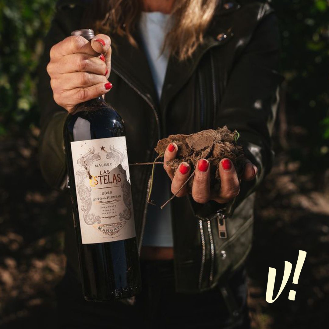Dia internacional da mulher: Grupo Vino! seleciona vinho renomado para a celebração